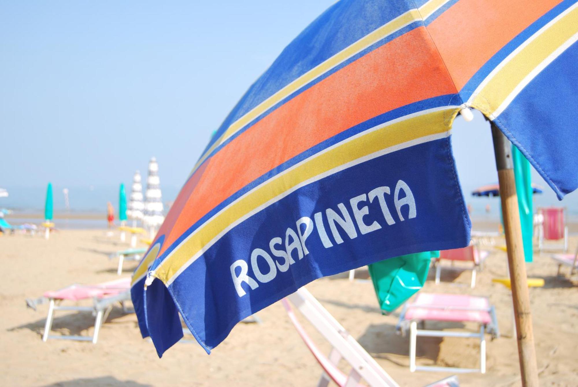 Rosapineta